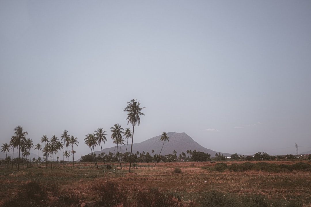 Tanzania countryside nature landscape